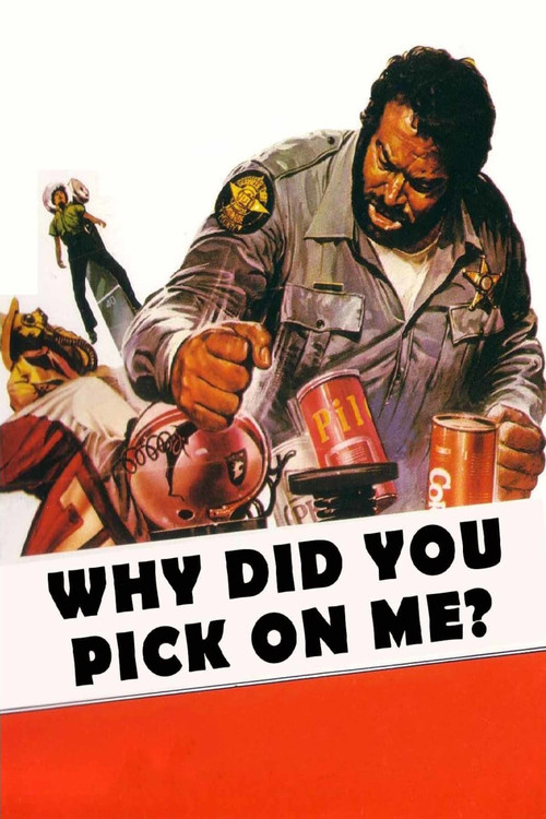 پوستر Why Did You Pick On Me?