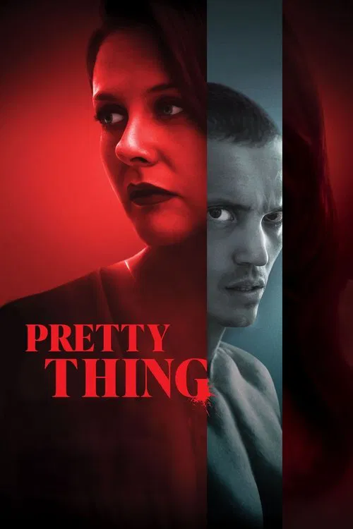 پوستر Pretty Thing