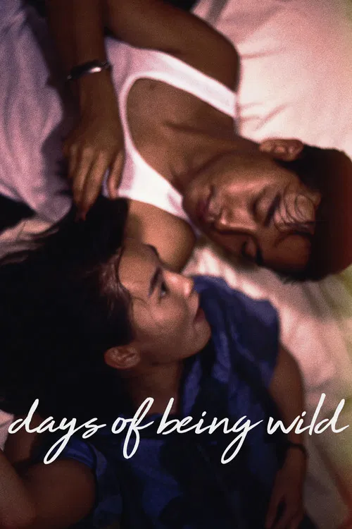 پوستر Days of Being Wild