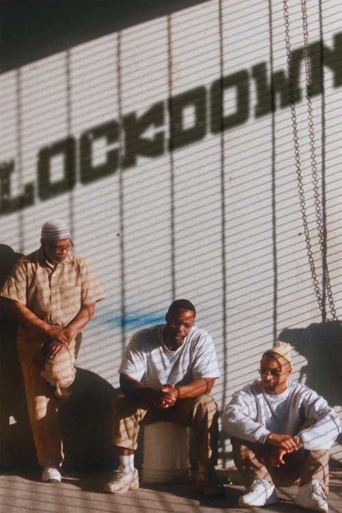 پوستر Lockdown