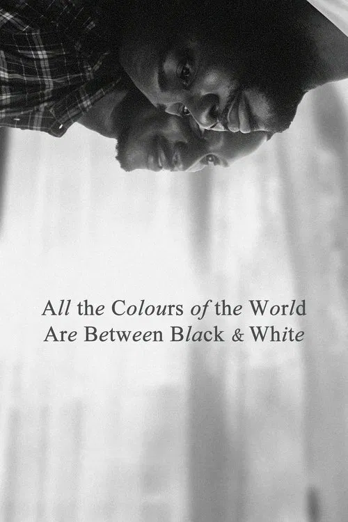 پوستر All the Colours of the World Are Between Black and White