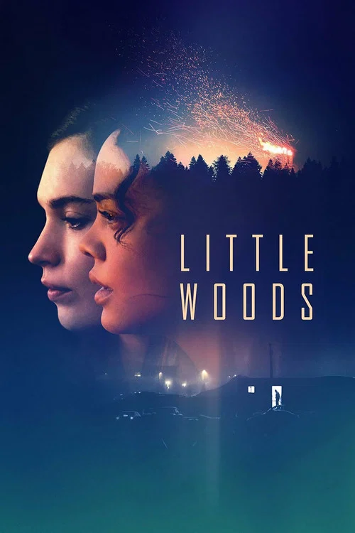 پوستر Little Woods