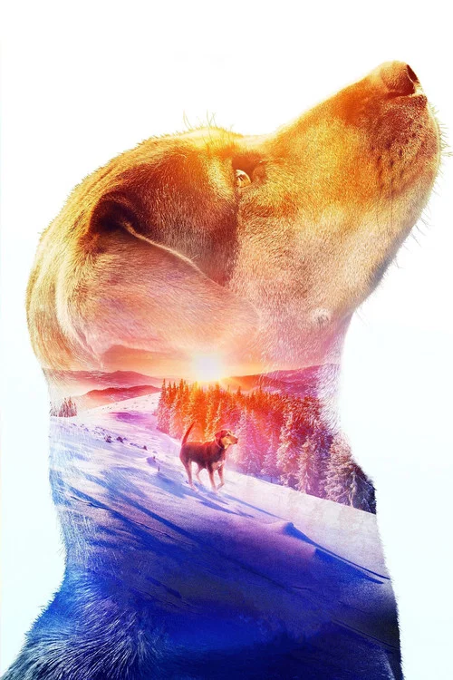 پوستر A Dog's Way Home