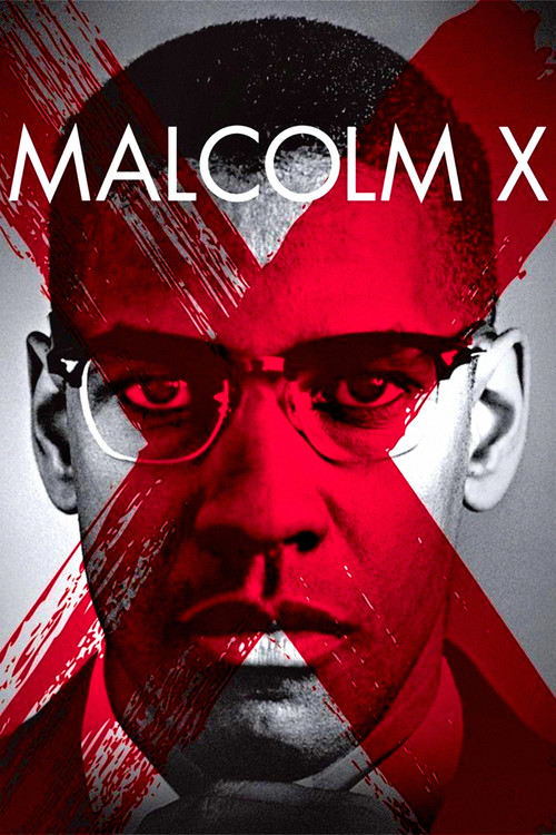 پوستر Malcolm X