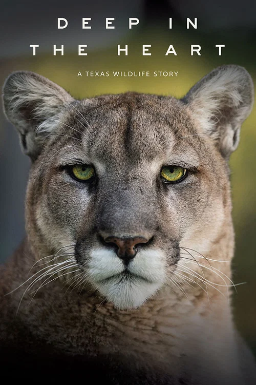 پوستر Deep in the Heart: A Texas Wildlife Story