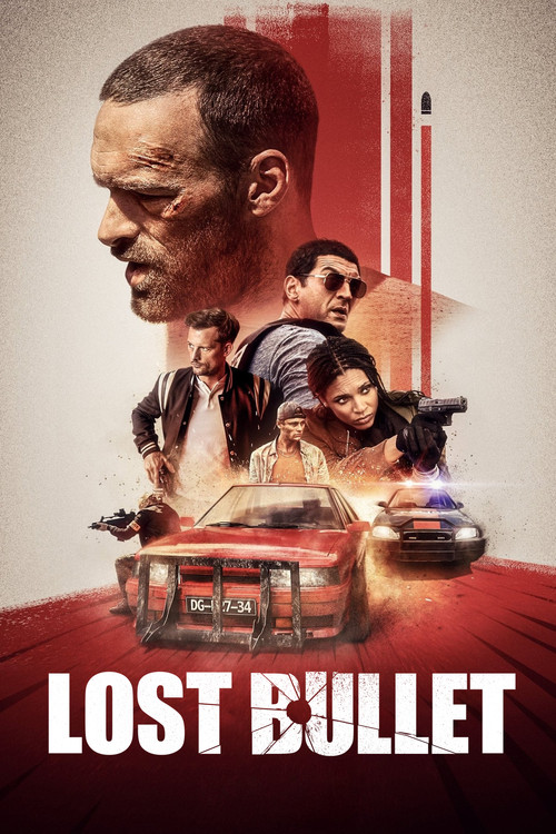 پوستر Lost Bullet