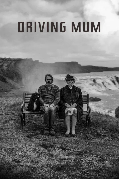 پوستر Driving Mum