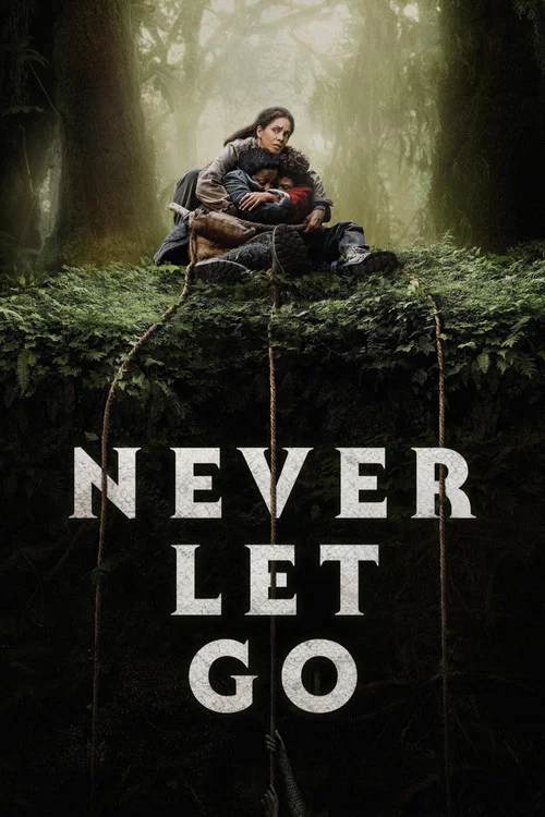 پوستر Never Let Go