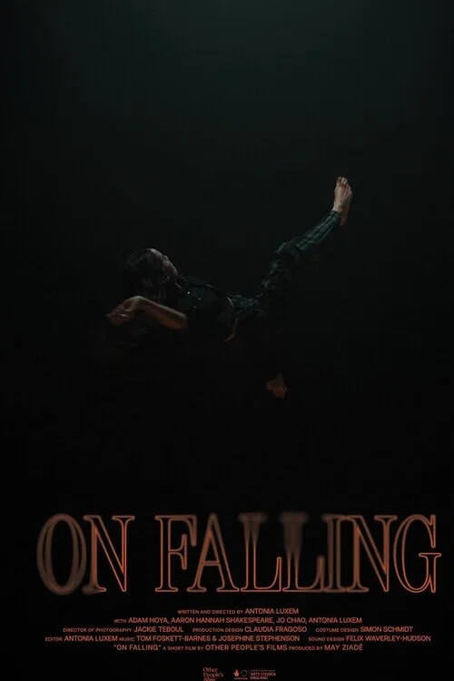 پوستر On Falling