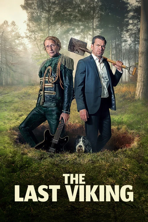 پوستر The Last Viking