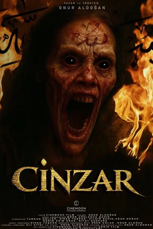 پوستر Cinzar