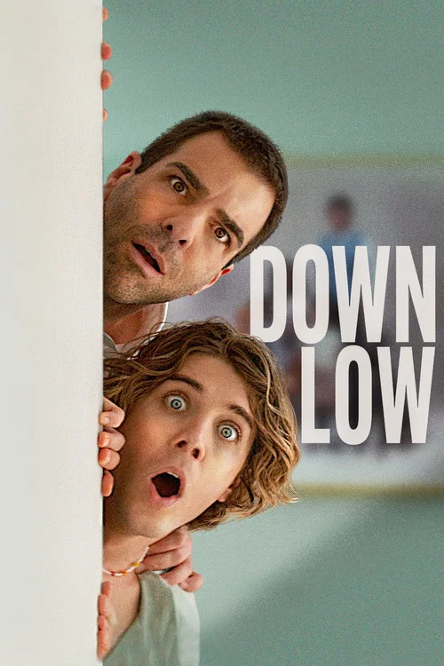 پوستر Down Low