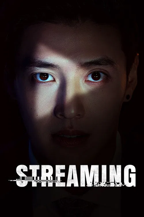 پوستر Streaming