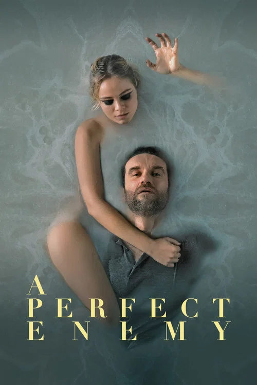 پوستر A Perfect Enemy