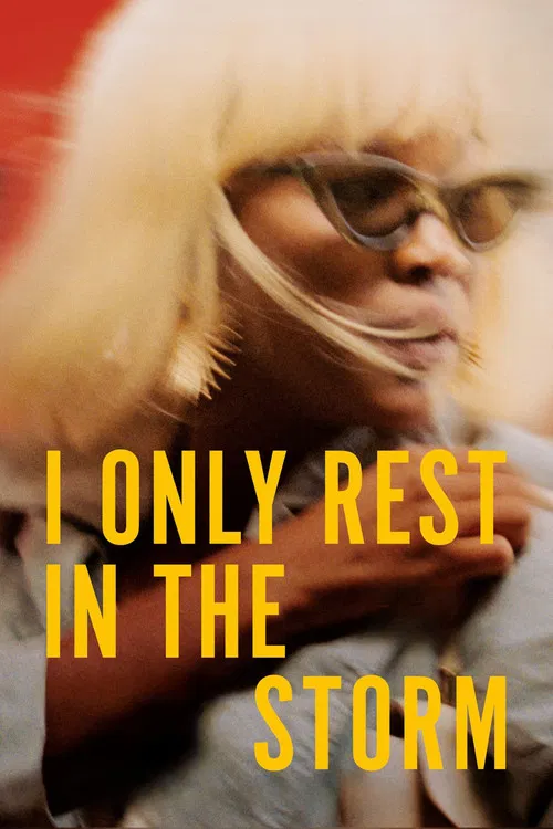 پوستر I Only Rest in the Storm