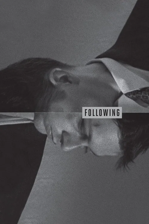 پوستر Following