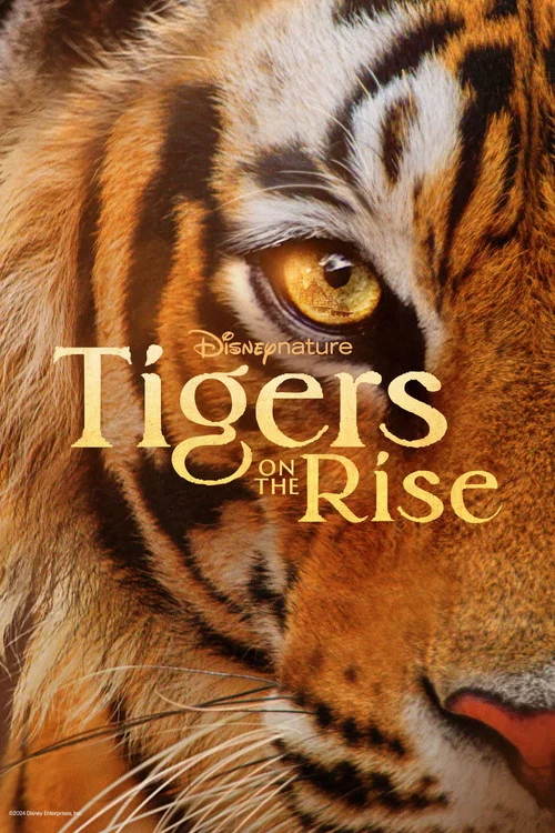 پوستر Tigers on the Rise