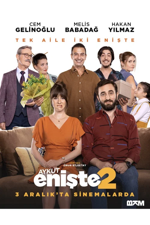 پوستر Brother in Love 2