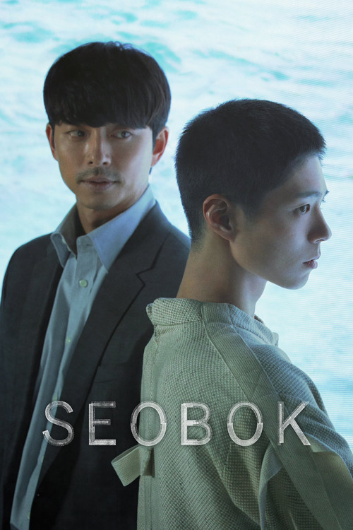 پوستر Seobok