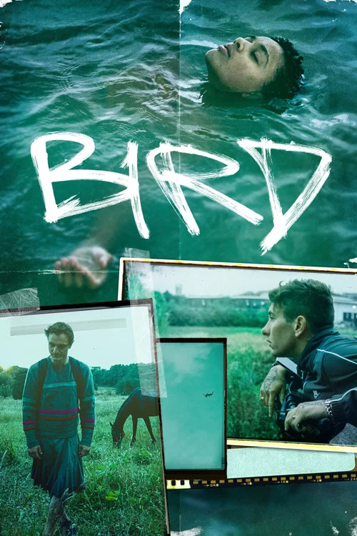 پوستر Bird