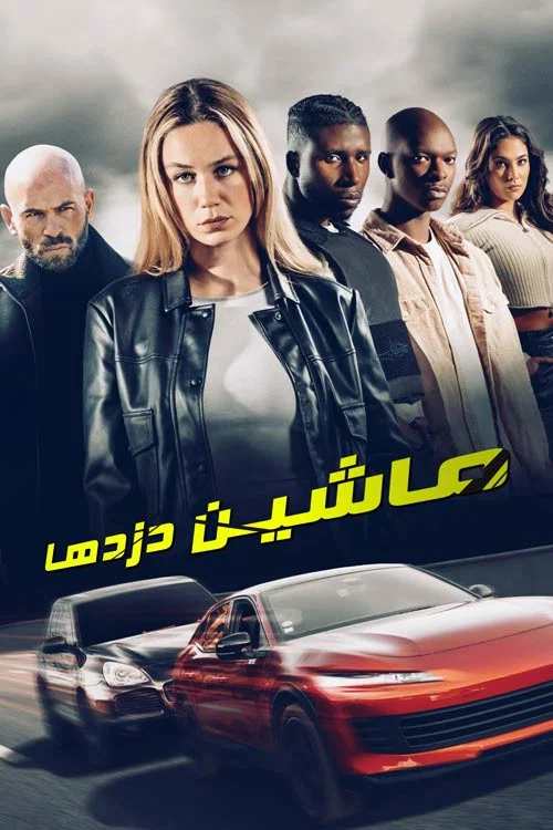 پوستر Carjackers