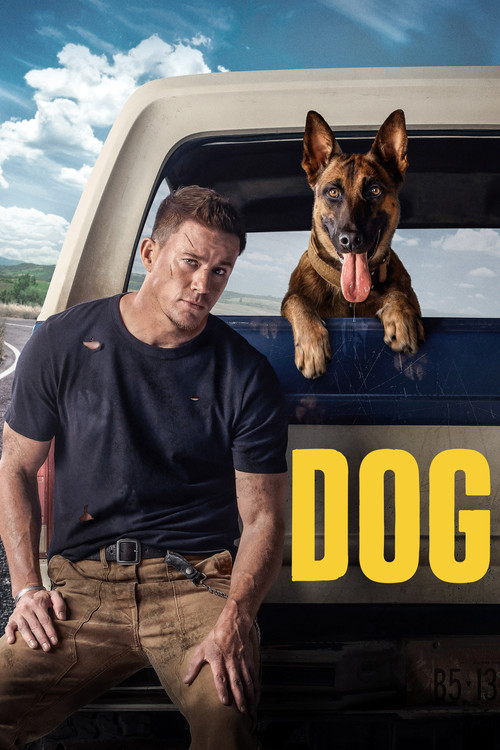 پوستر Dog