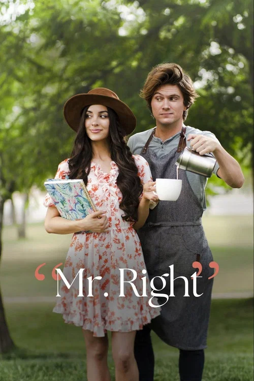 پوستر Mr. Right