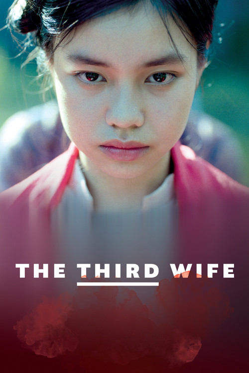 پوستر The Third Wife