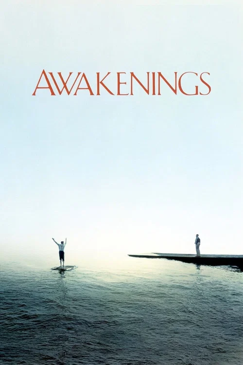 پوستر Awakenings