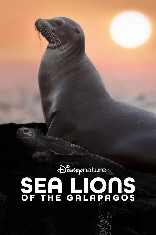 پوستر Sea Lions of the Galapagos