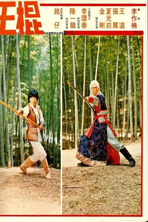پوستر Shaolin Invincible Sticks