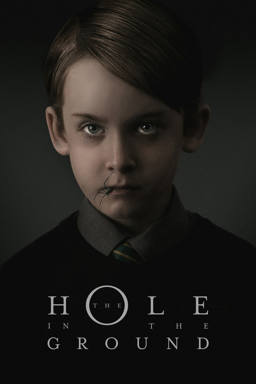پوستر The Hole in the Ground