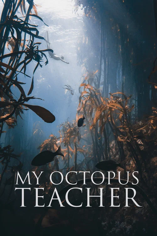 پوستر My Octopus Teacher