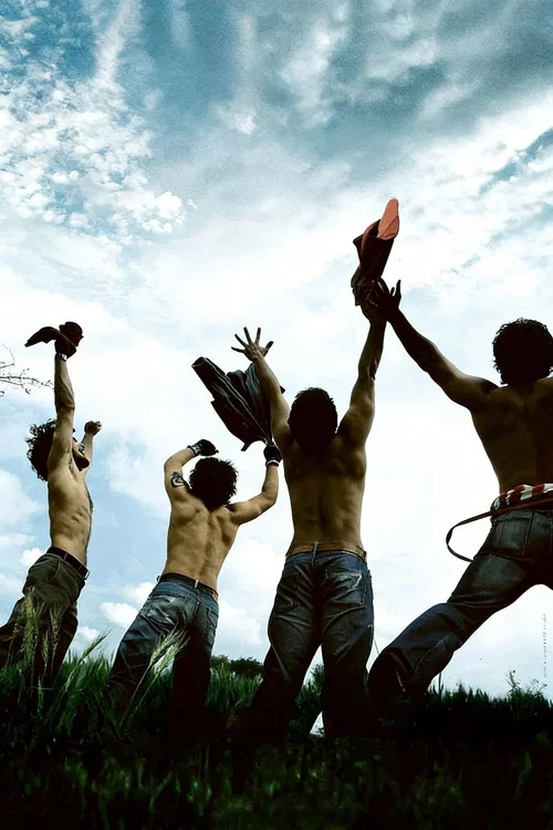 پوستر Rang De Basanti