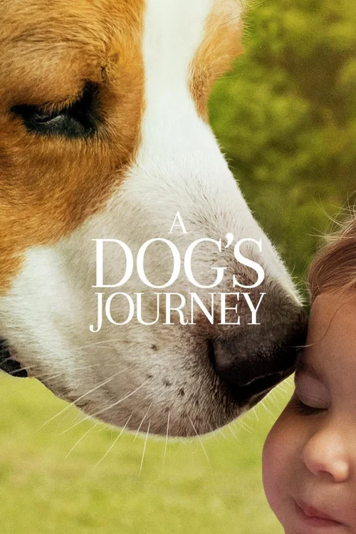 پوستر A Dog's Journey