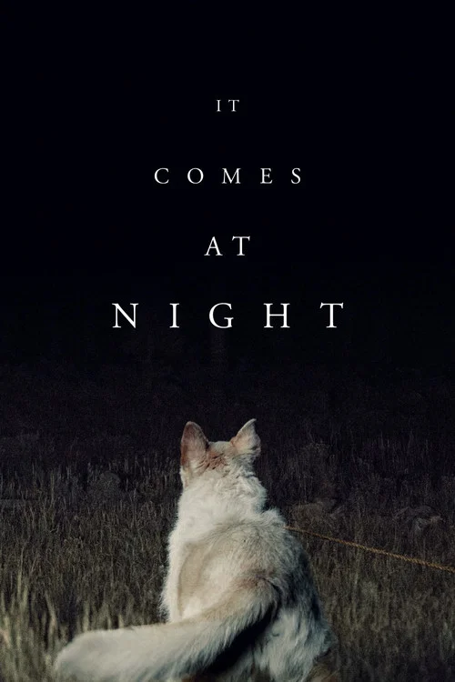 پوستر It Comes at Night