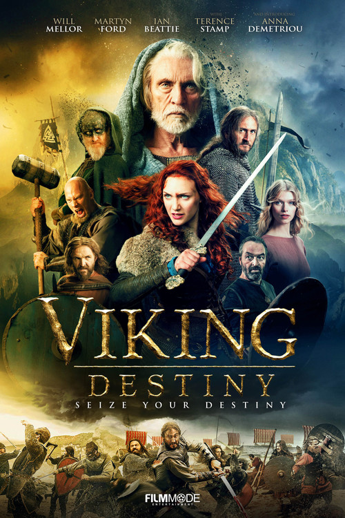 پوستر Viking Destiny