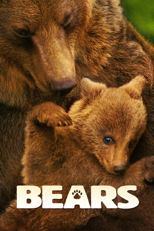 پوستر Bears