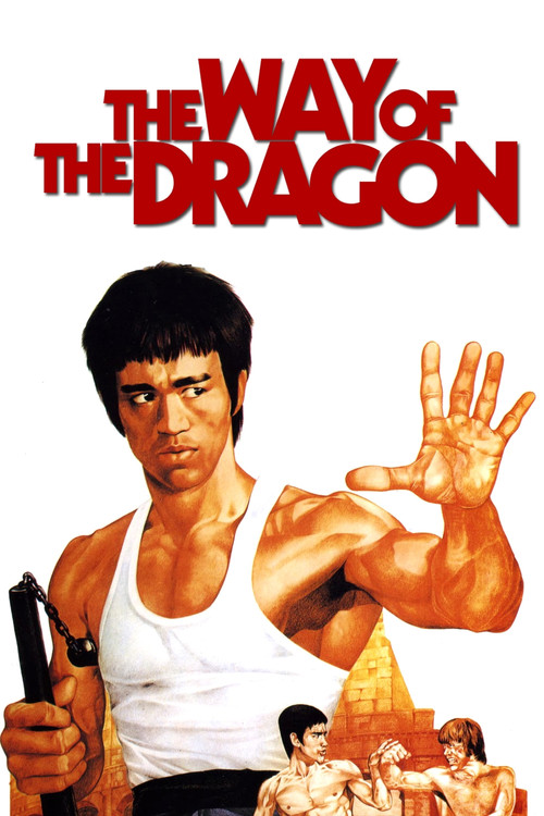 پوستر The Way of the Dragon