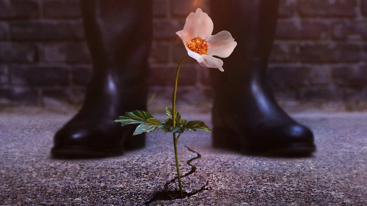 تصویر زمینه مردی در قلعه بلند