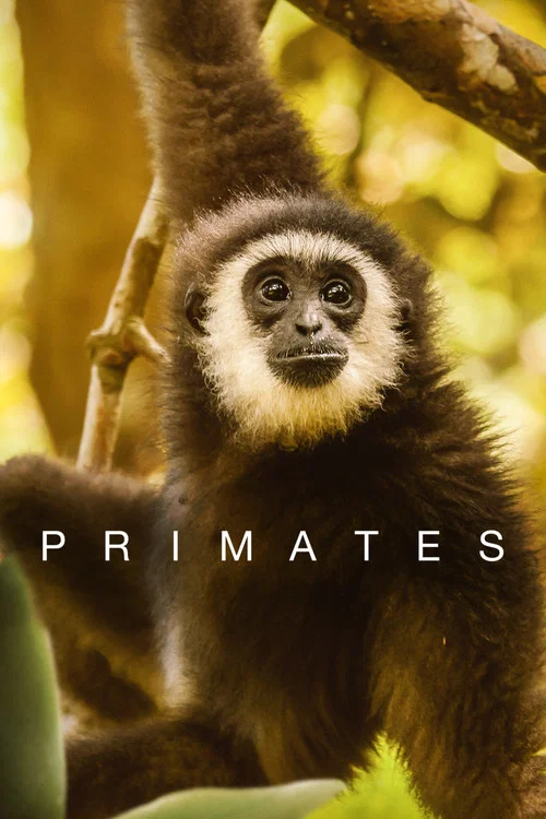پوستر Primates