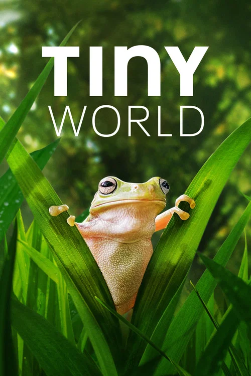 پوستر Tiny World