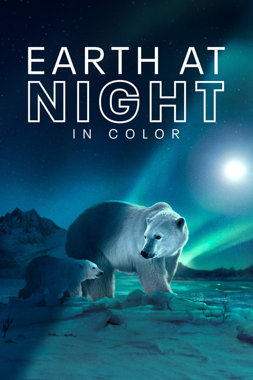 پوستر Earth at Night in Colour