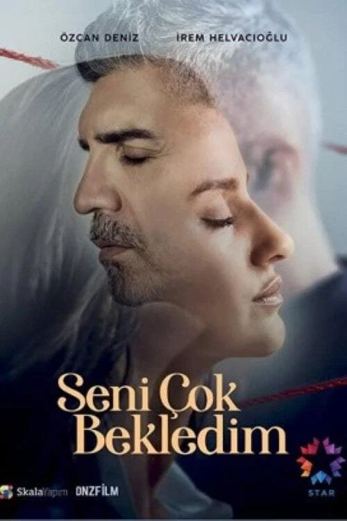 پوستر Seni Çok Bekledim