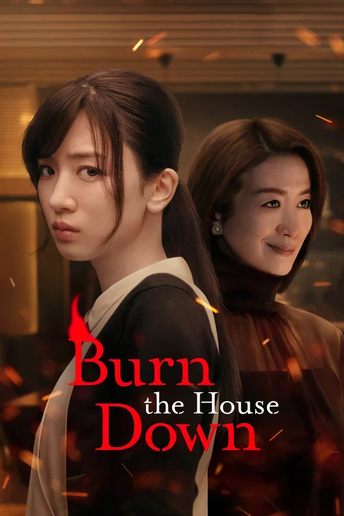 پوستر Burn the House Down
