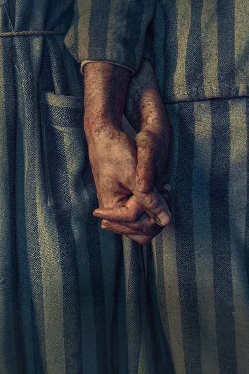 پوستر The Tattooist of Auschwitz