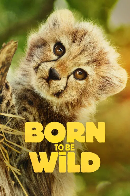 پوستر Born to Be Wild