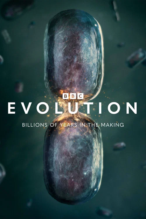 پوستر Evolution