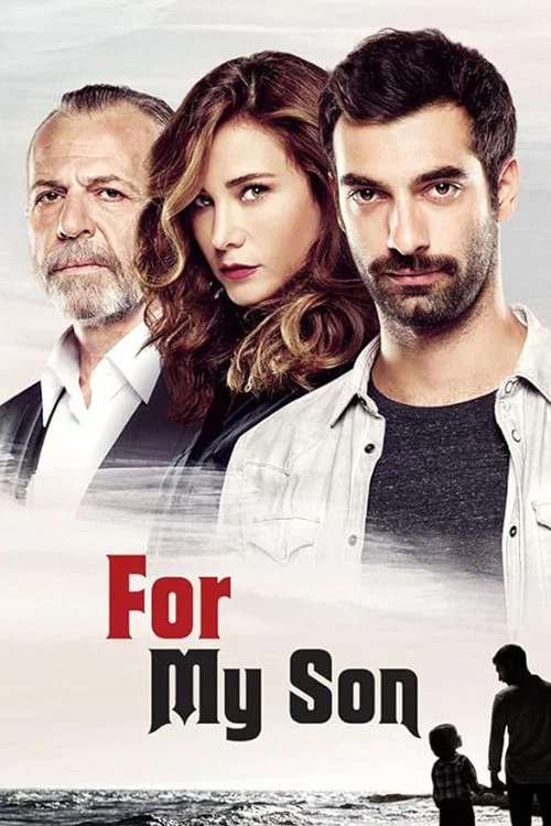 پوستر Poyraz Karayel