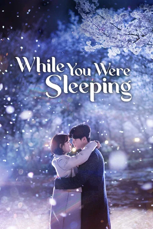 پوستر While You Were Sleeping